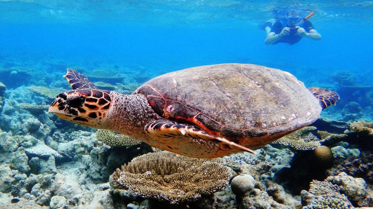 Dharavandhoo Stay Εξωτερικό φωτογραφία